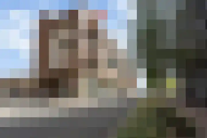 Adriaan Kooningsstraat 29 Rotterdam thumbnail 32