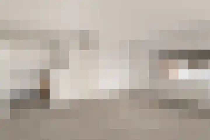 Adriaan Kooningsstraat 54 Rotterdam thumbnail 21