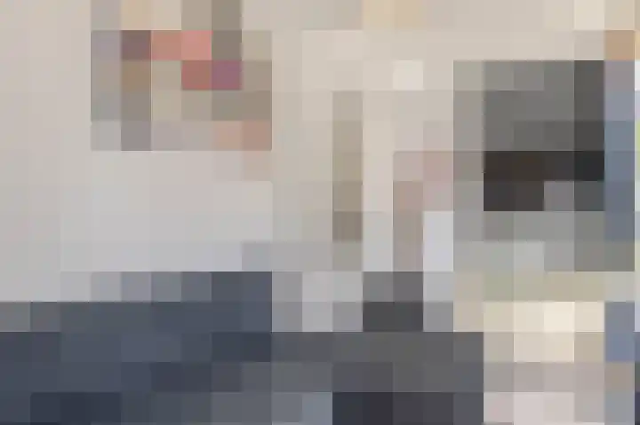 Adriaan Kooningsstraat 63 Rotterdam thumbnail 27