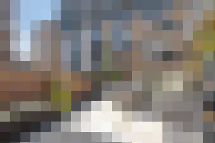 Adriaan Kooningsstraat 63 Rotterdam thumbnail 4