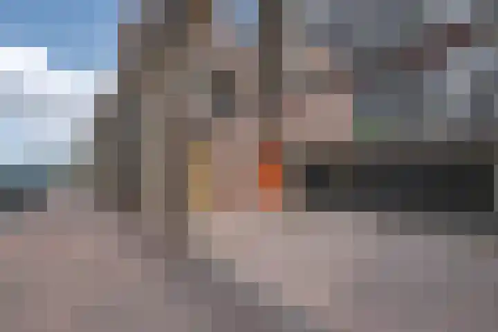 Adriaan Kooningsstraat 63 Rotterdam thumbnail 9