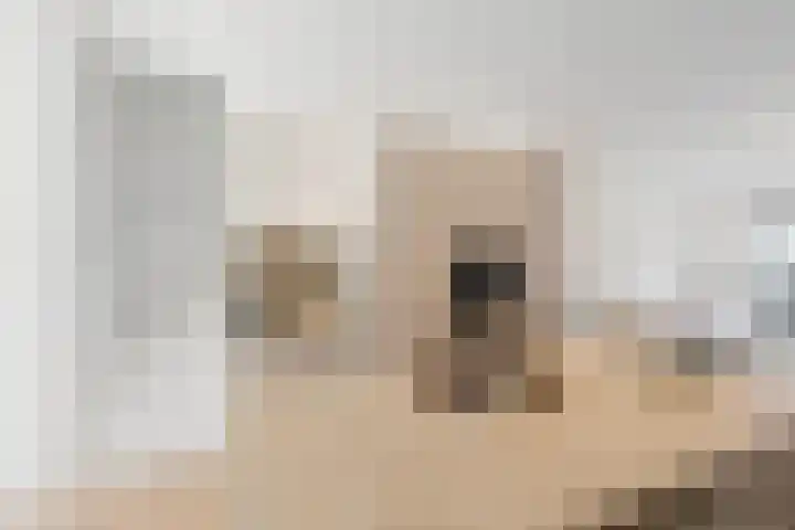 Adriaan Loosjesstraat 10 Haarlem thumbnail 12