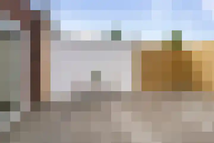 Adriaan Loosjesstraat 10 Haarlem thumbnail 18