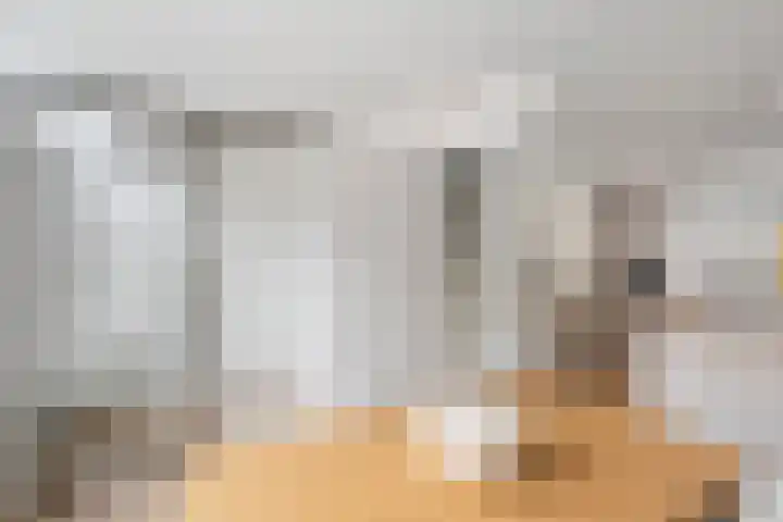 Adriaan Loosjesstraat 10 Haarlem thumbnail 8