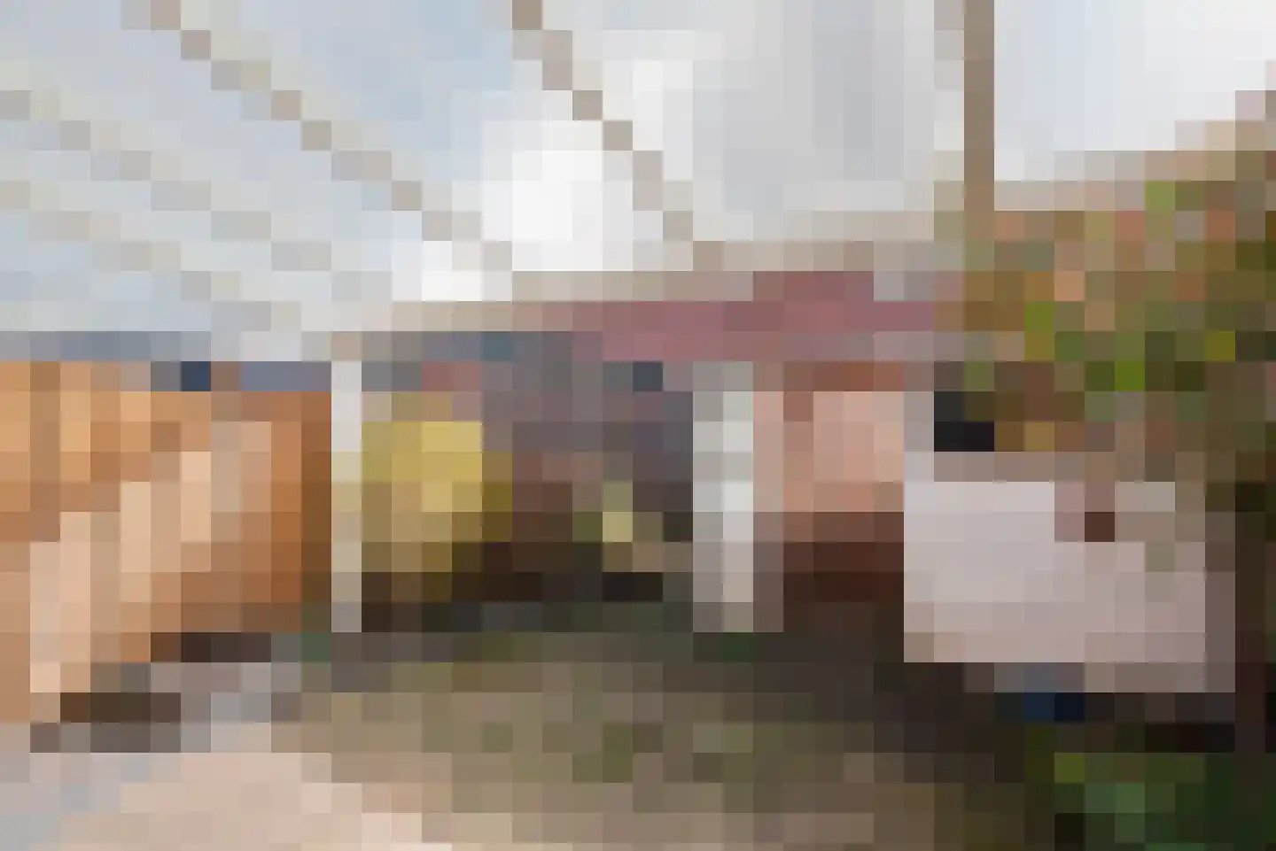 Adriaan Loosjesstraat 23 Haarlem thumbnail 13