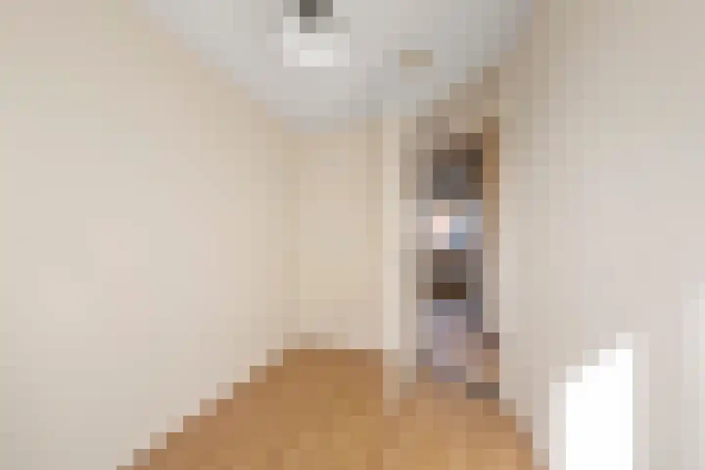 Adriaan Loosjesstraat 23 Haarlem thumbnail 19