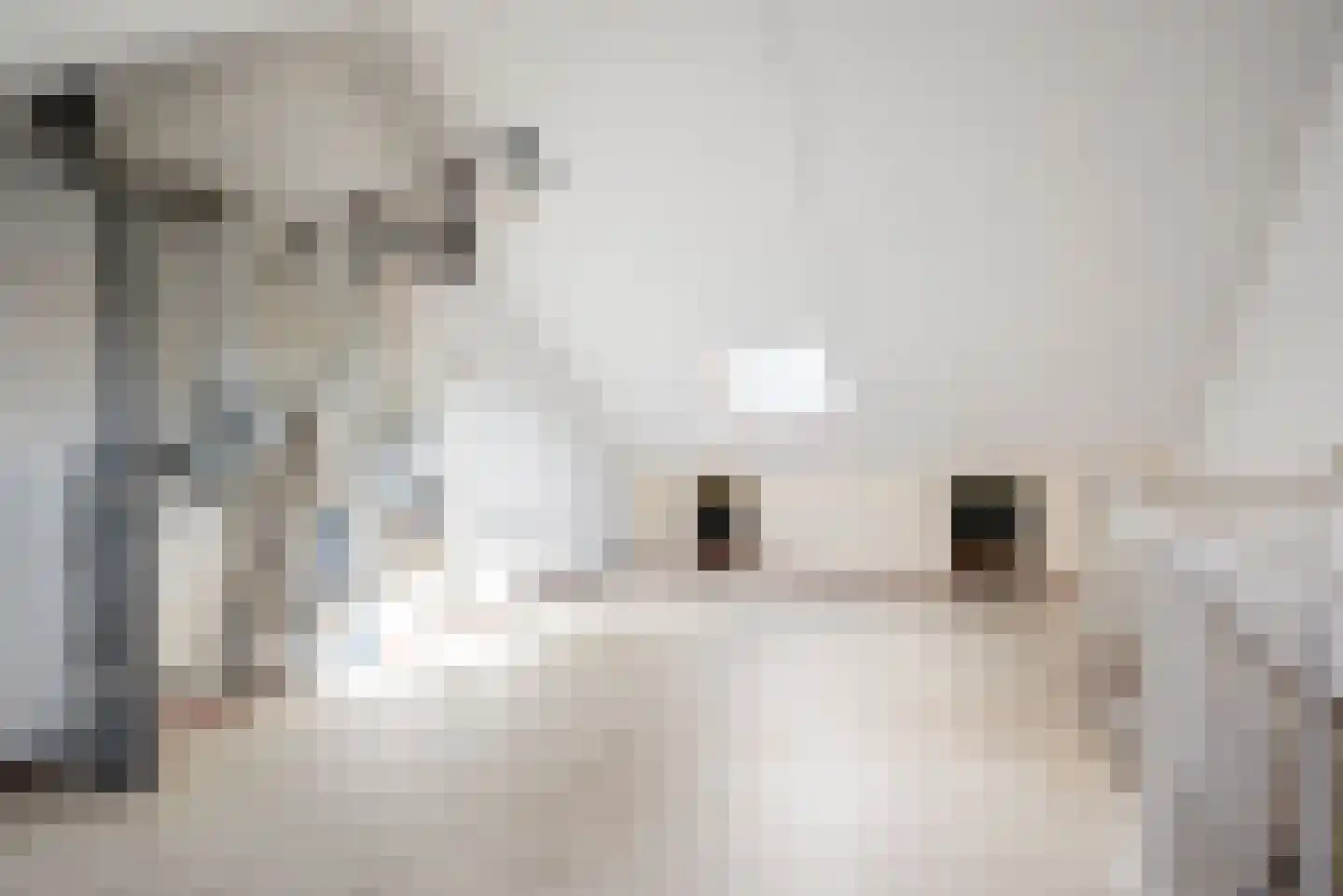 Adriaan Loosjesstraat 23 Haarlem thumbnail 23