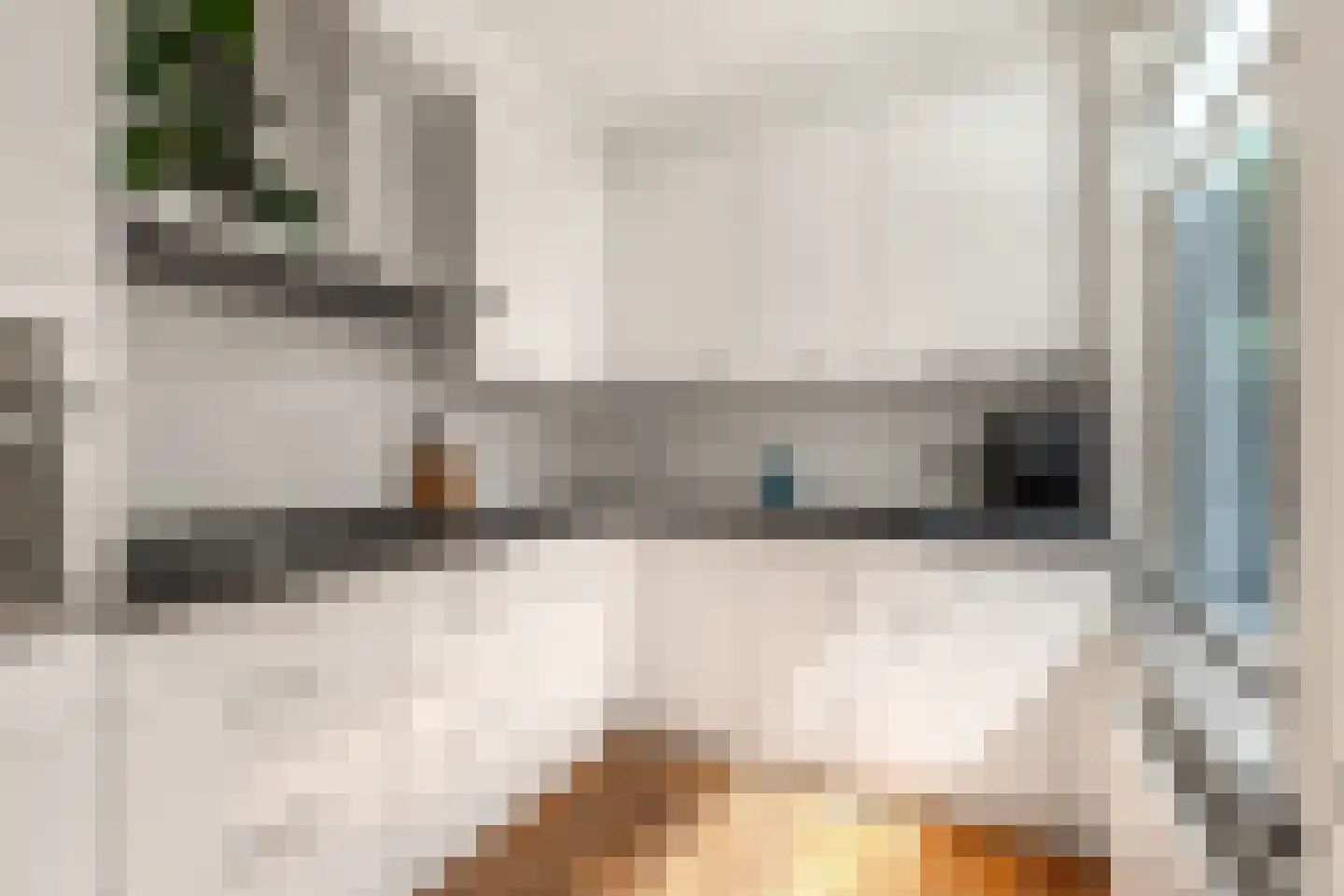 Adriaan Loosjesstraat 5 Haarlem thumbnail 22