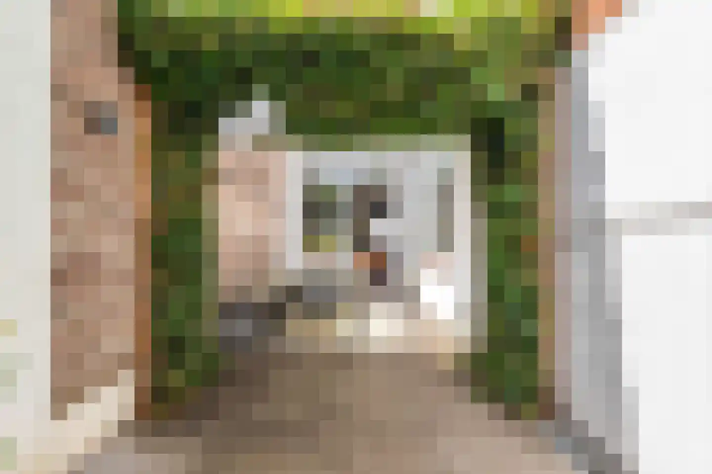 Adriaan Loosjesstraat 5 Haarlem thumbnail 26