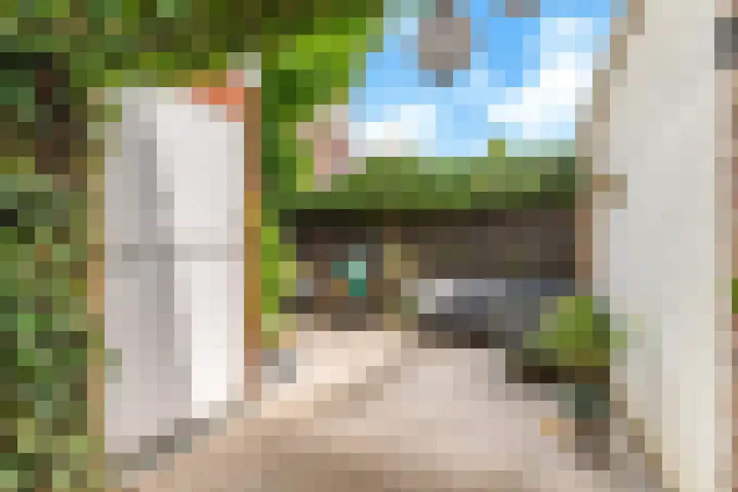 Adriaan Loosjesstraat 5 Haarlem thumbnail 28