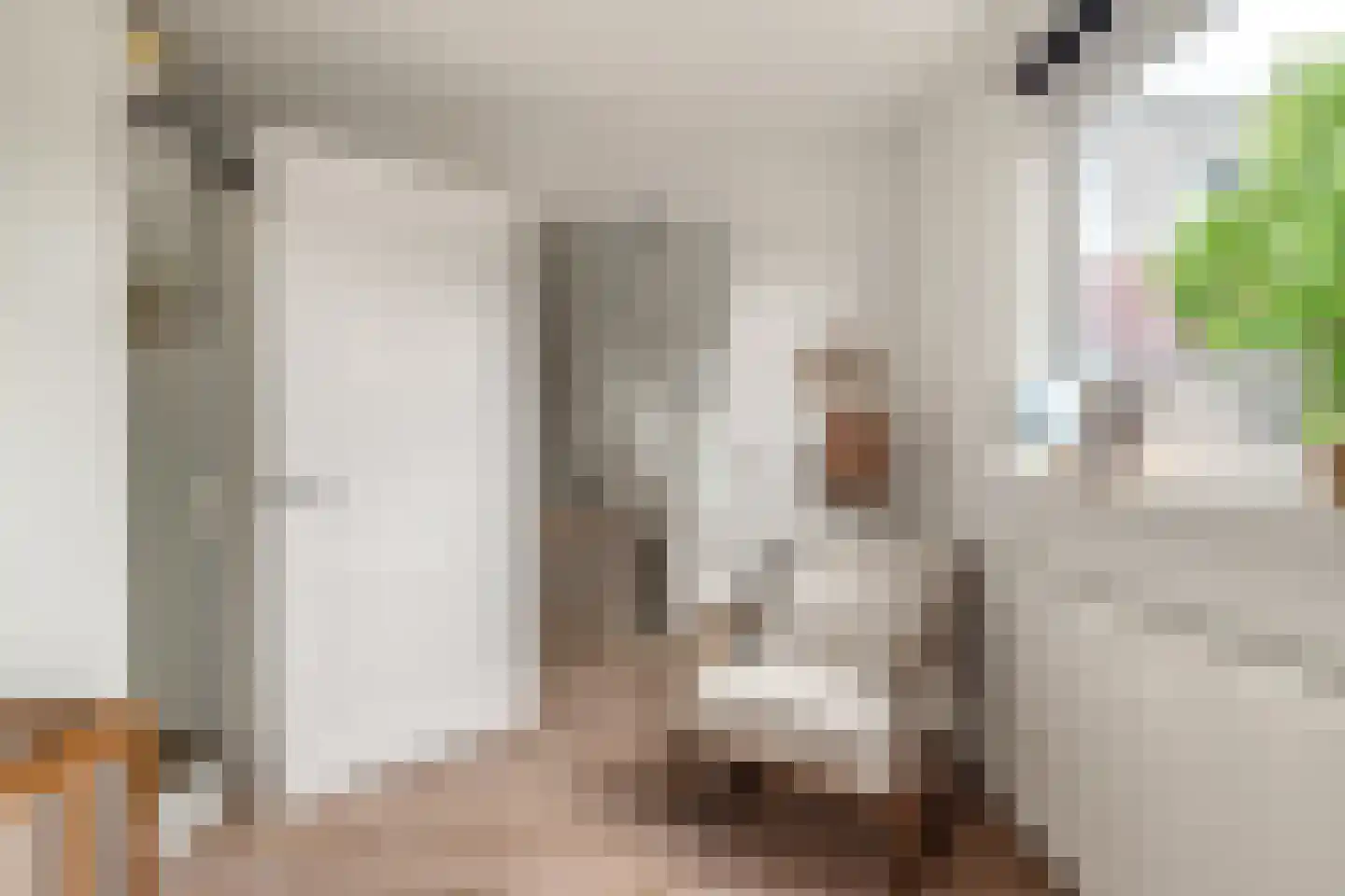 Adriaan Loosjesstraat 5 Haarlem thumbnail 39