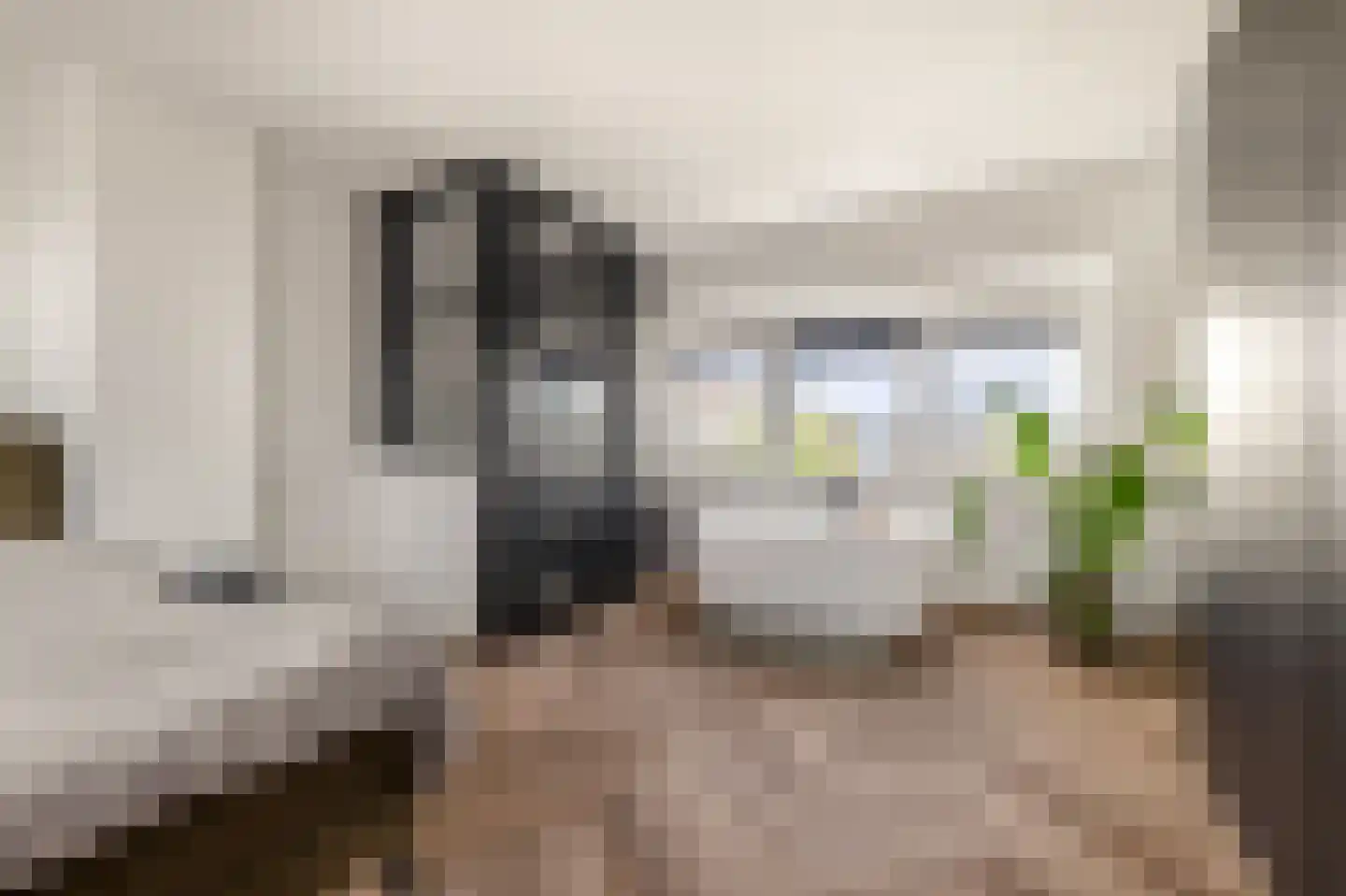 Adriaan Loosjesstraat 5 Haarlem thumbnail 4