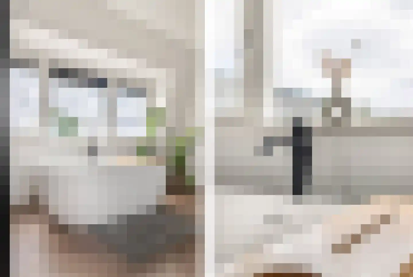 Adriaan Loosjesstraat 5 Haarlem thumbnail 45
