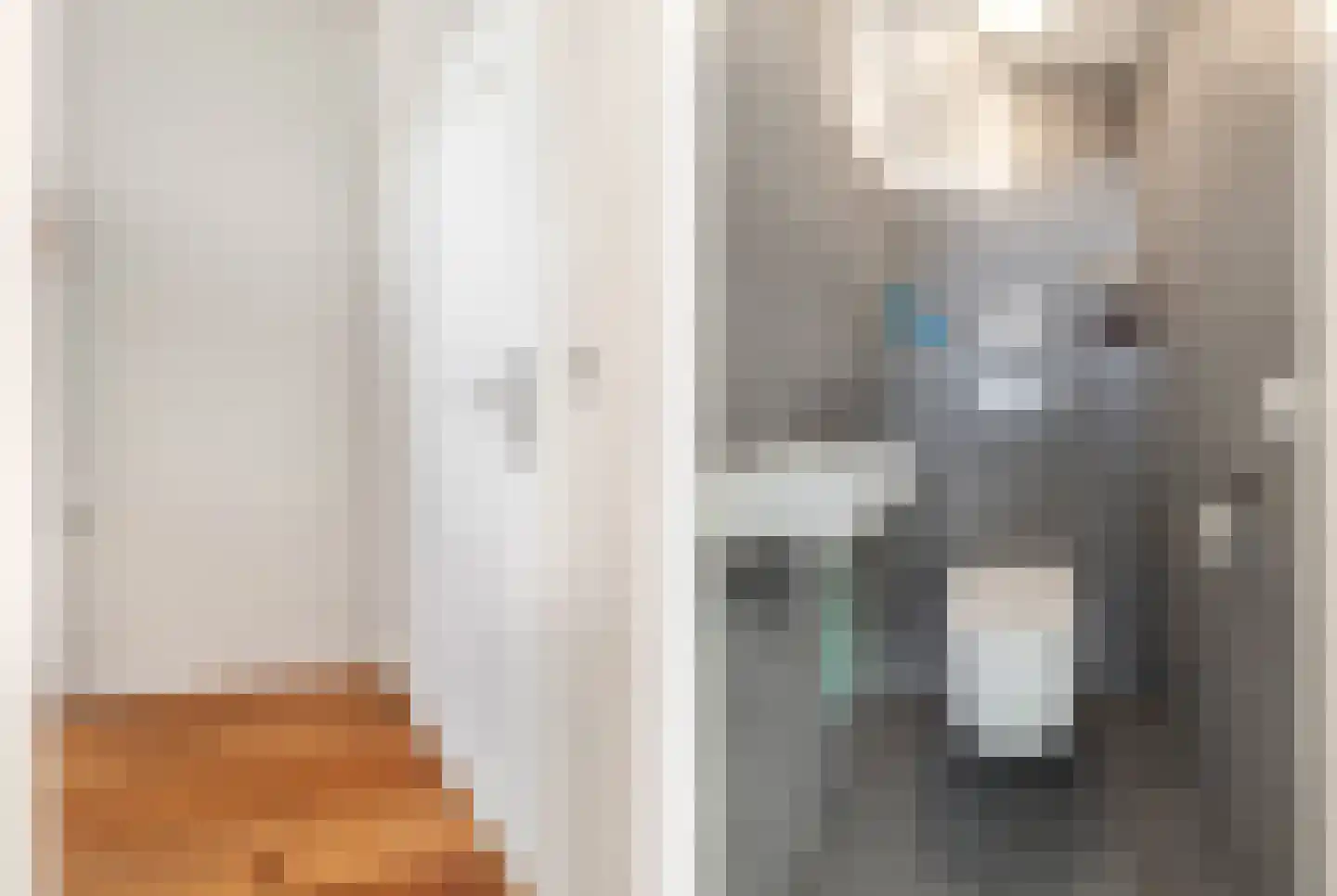 Adriaan Loosjesstraat 5 Haarlem thumbnail 8