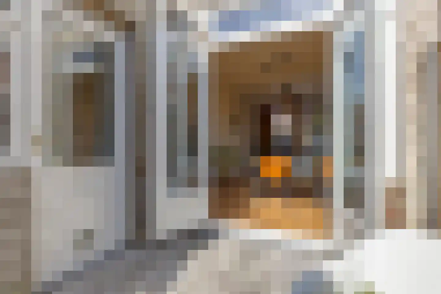 Adriaan Loosjesstraat 69 Haarlem thumbnail 14
