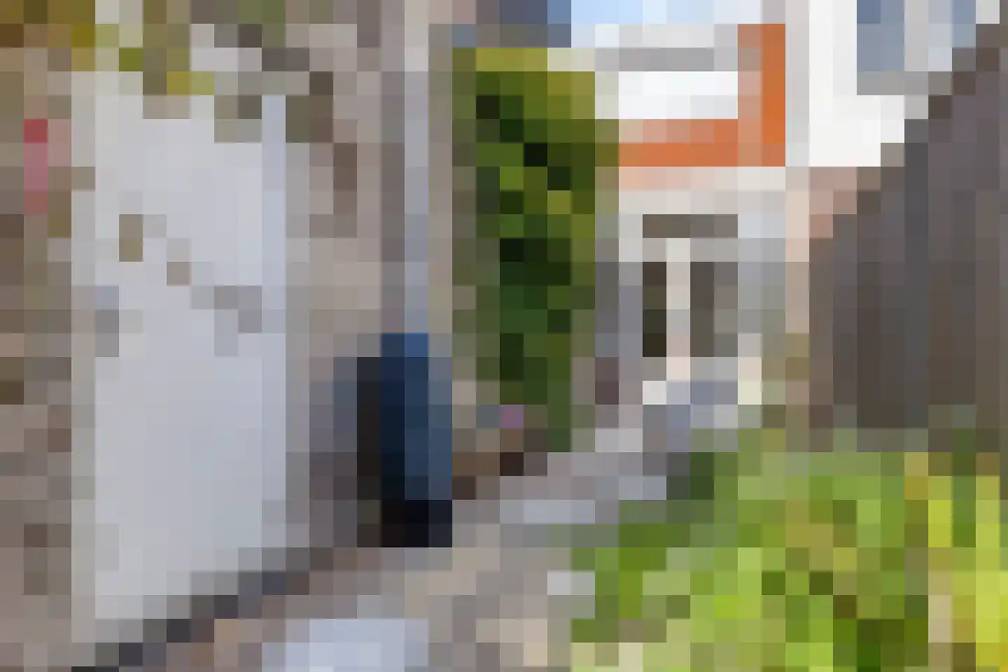Adriaan Loosjesstraat 69 Haarlem thumbnail 15