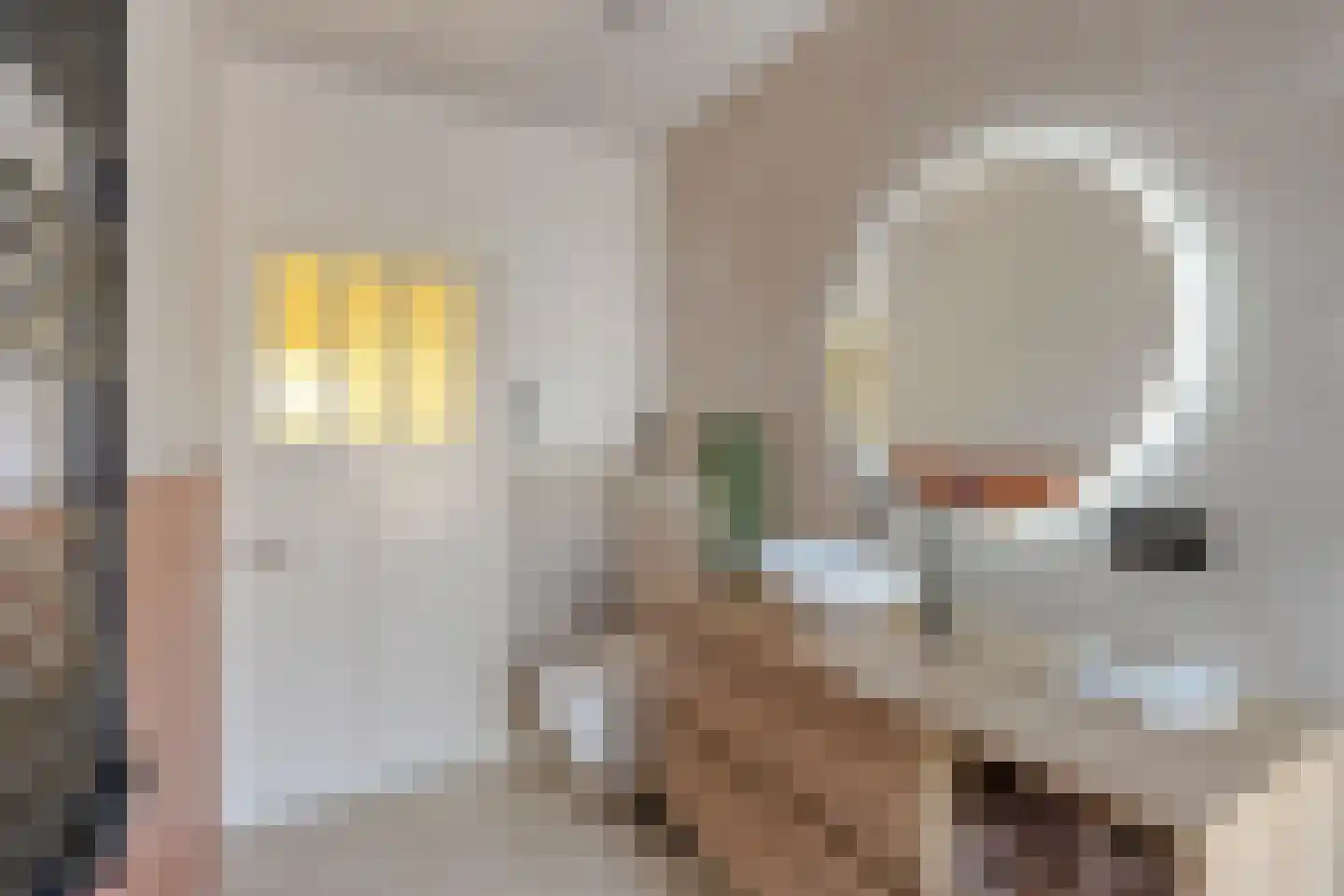 Adriaan Loosjesstraat 69 Haarlem thumbnail 22