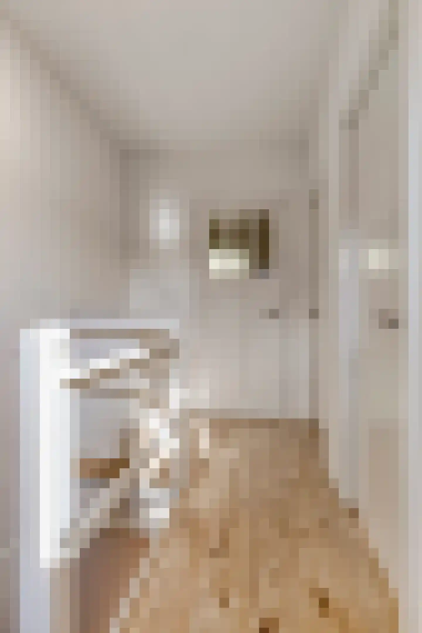 Adriaan Loosjesstraat 69 Haarlem thumbnail 24