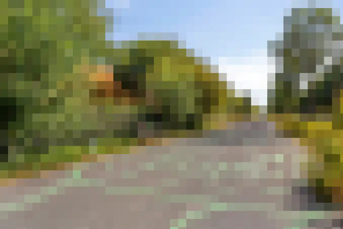 Adriaan Loosjesstraat 69 Haarlem thumbnail 29