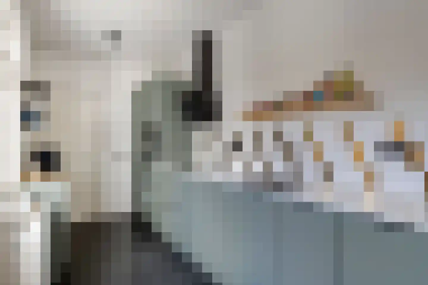 Adriaan Loosjesstraat 69 Haarlem thumbnail 4