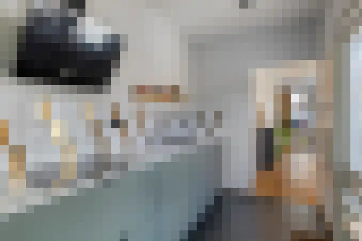 Adriaan Loosjesstraat 69 Haarlem thumbnail 9