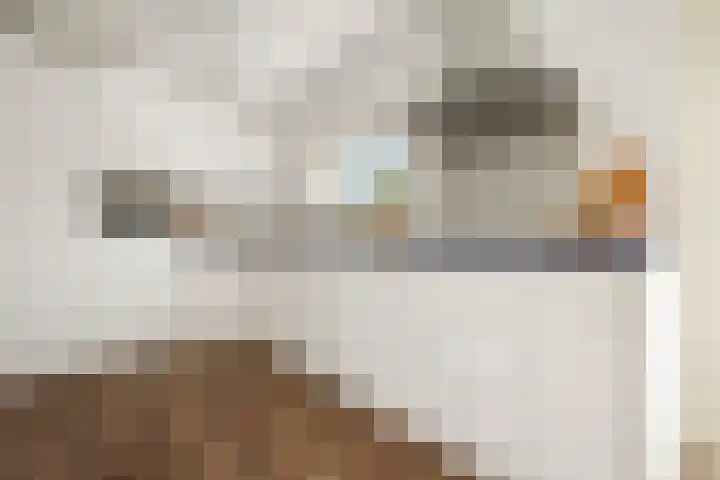 Adriaan Loosjesstraat 8 Amsterdam thumbnail 11