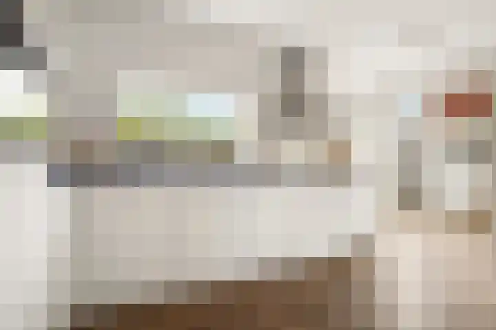 Adriaan Loosjesstraat 8 Amsterdam thumbnail 13