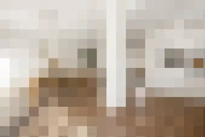 Adriaan Loosjesstraat 8 Amsterdam thumbnail 15