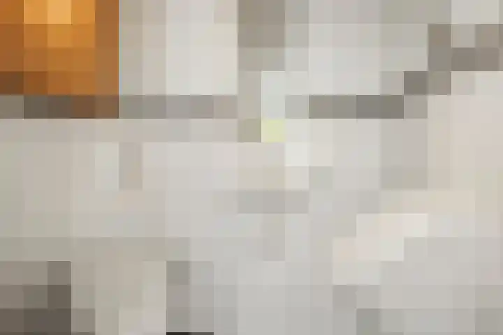 Adriaan Loosjesstraat 8 Amsterdam thumbnail 16