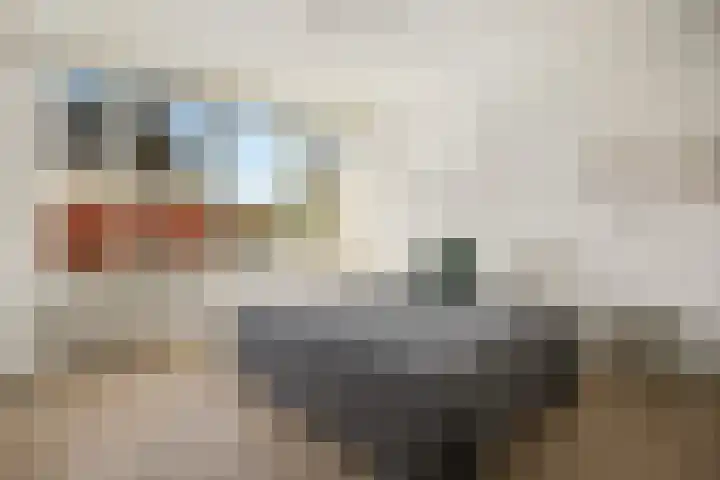 Adriaan Loosjesstraat 8 Amsterdam thumbnail 18
