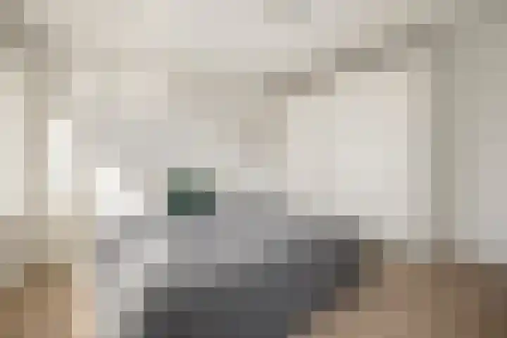Adriaan Loosjesstraat 8 Amsterdam thumbnail 19