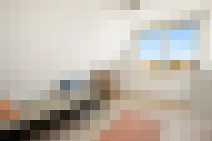 Adriaan Loosjesstraat 8 Amsterdam thumbnail 27