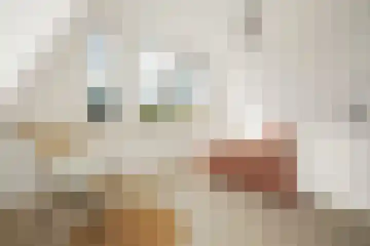 Adriaan Loosjesstraat 8 Amsterdam thumbnail 30