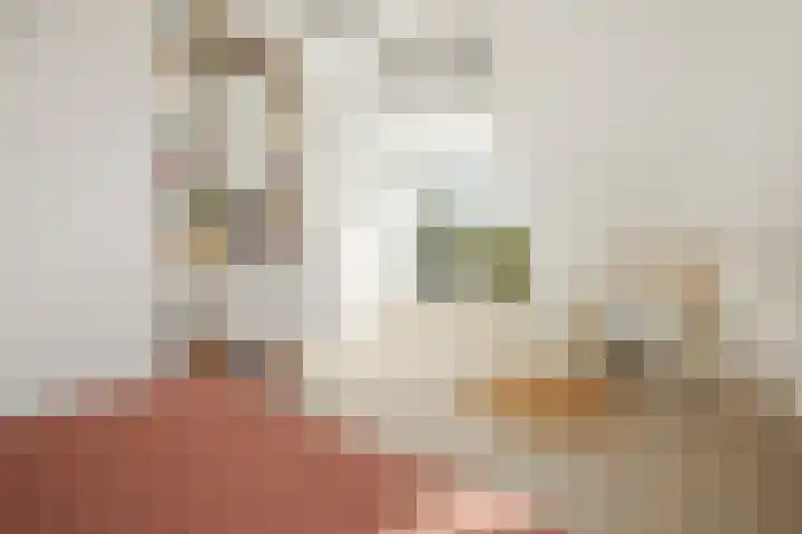 Adriaan Loosjesstraat 8 Amsterdam thumbnail 31