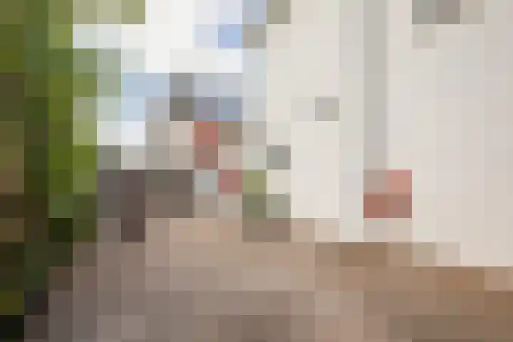 Adriaan Loosjesstraat 8 Amsterdam thumbnail 33