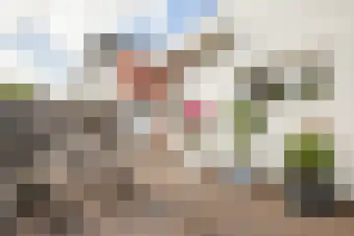 Adriaan Loosjesstraat 8 Amsterdam thumbnail 35