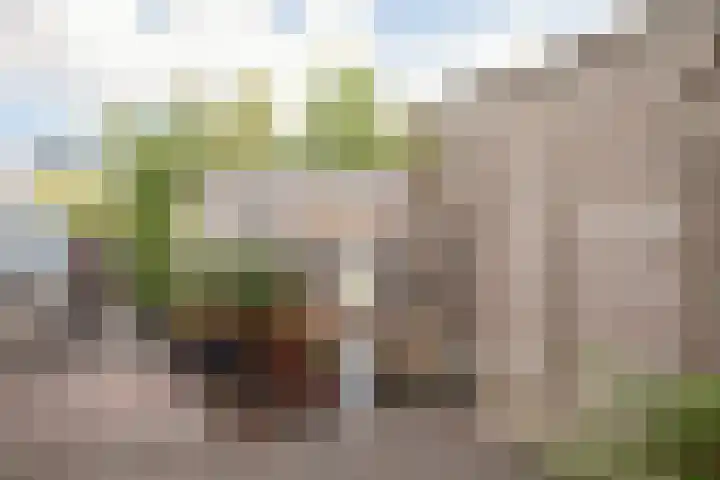 Adriaan Loosjesstraat 8 Amsterdam thumbnail 38
