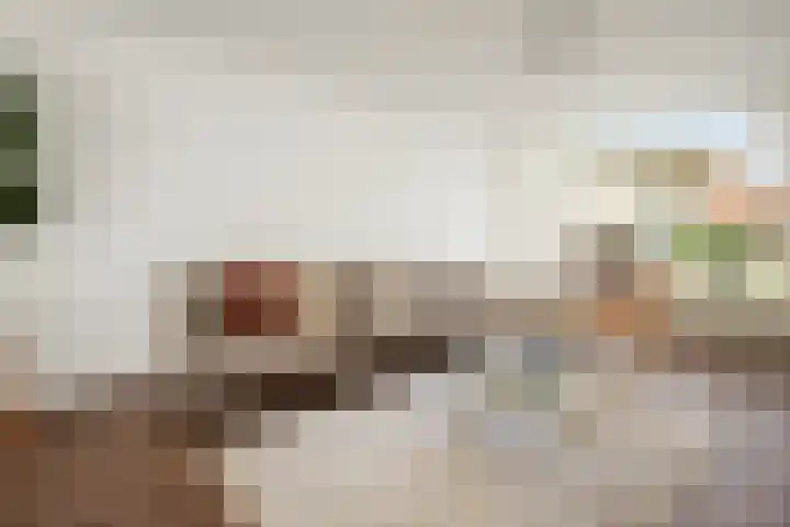 Adriaan Loosjesstraat 8 Amsterdam thumbnail 4