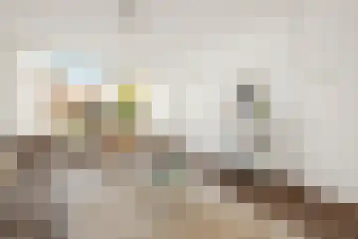 Adriaan Loosjesstraat 8 Amsterdam thumbnail 5