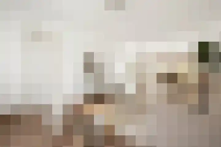 Adriaan Loosjesstraat 8 Amsterdam thumbnail 6