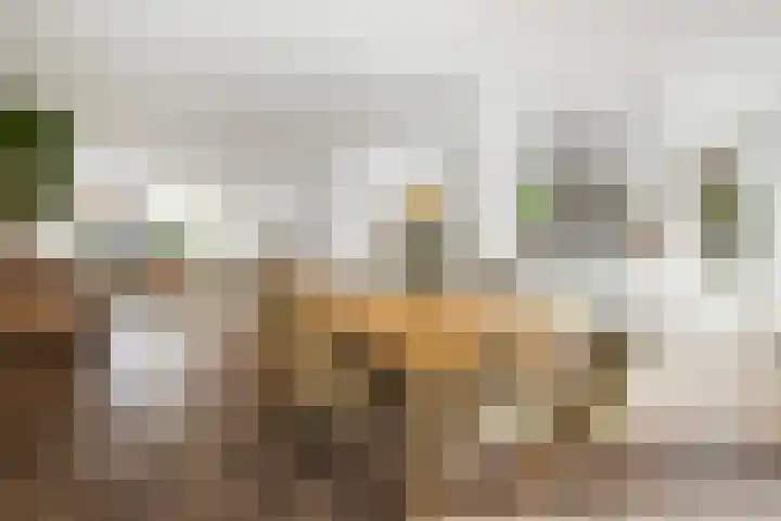 Adriaan Loosjesstraat 8 Amsterdam thumbnail 9