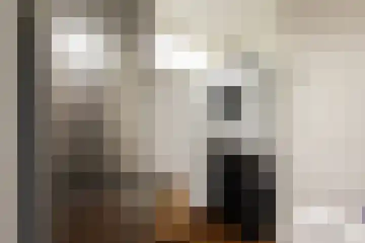 Adriaan Loosjesstraat 9 Haarlem thumbnail 18