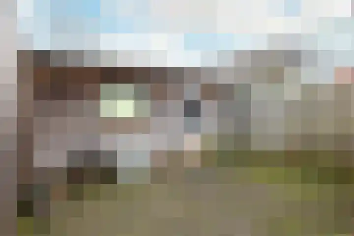 Adriaan Loosjesstraat 9 Haarlem thumbnail 20