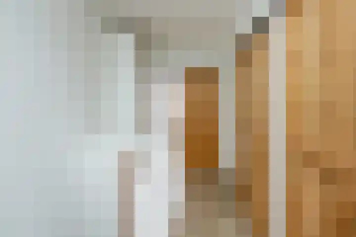 Adriaan Loosjesstraat 9 Haarlem thumbnail 22
