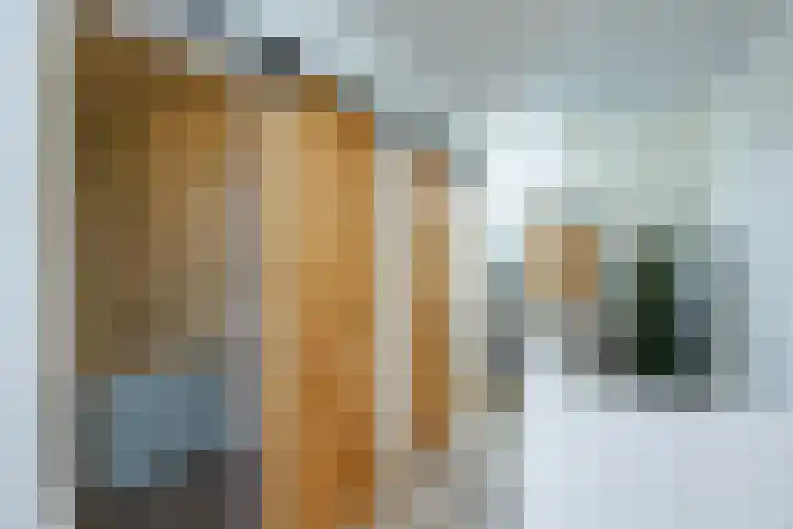 Adriaan Loosjesstraat 9 Haarlem thumbnail 23