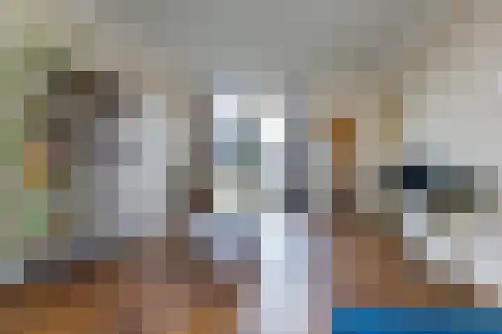 Adriaan Loosjesstraat 9 Haarlem thumbnail 8