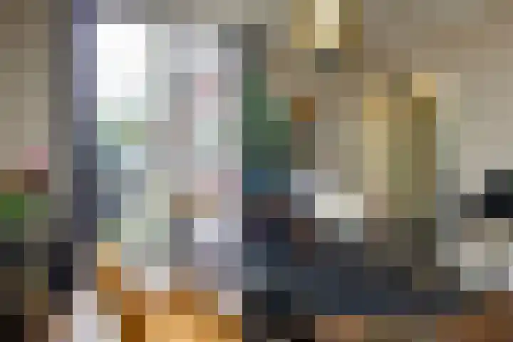 Adriaan Loosjesstraat 9 Haarlem thumbnail 9