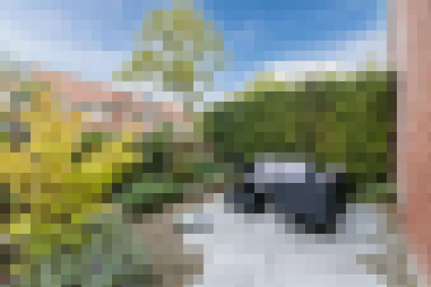 Adriaan Menninckkwartier 41 Utrecht thumbnail 17