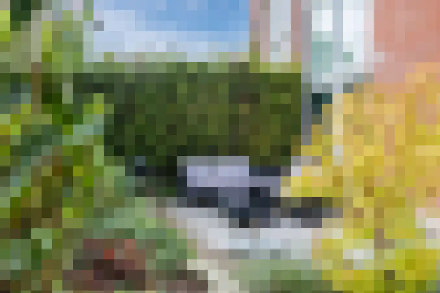 Adriaan Menninckkwartier 41 Utrecht thumbnail 19
