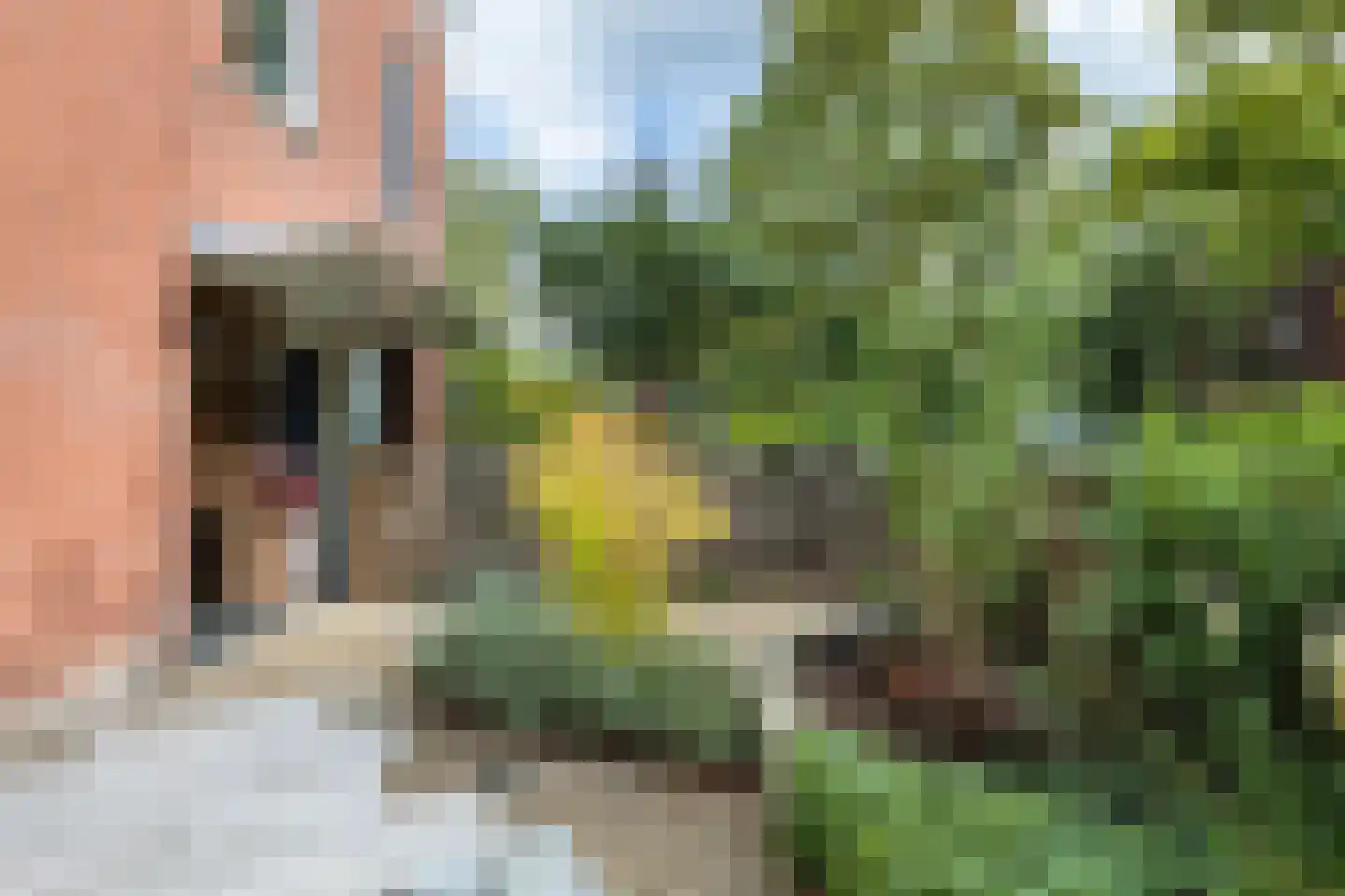 Adriaan Menninckkwartier 41 Utrecht thumbnail 20